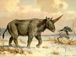 Hewan Bertanduk Satu Unicorn Benar-benar Pernah Hidup di Dunia