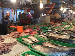 Sidak ke Pasar Perumnas Klender, BPOM Temukan Ikan Tuna Berformalin