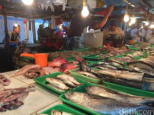 Biar Lebih Sehat, Begini Cara Terbaik Mengolah Ikan Menurut Ahli Gizi Biar Lebih Sehat, Begini Cara Terbaik Mengolah Ikan Menurut Ahli Gizi