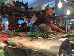 Ini Daftar Ikan yang Paling Banyak Diimpor RI