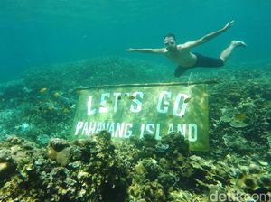 Risers Nikmati Keindahan Bawah Laut Pahawang