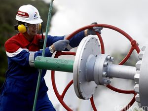 PGE Bidik Aset Panas Bumi di Kenya dan Turki PGE Bidik Aset Panas Bumi di Kenya dan Turki