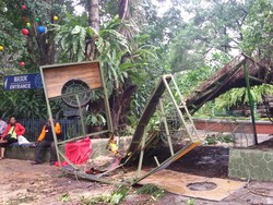Hari ini Dibersihkan, Begini Kondisi Gembira Loka setelah Dihajar Hujan dan Angin
