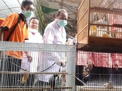 Hadapi Flu Burung dan Penyakit Infeksi Lain Sama Seperti Bencana