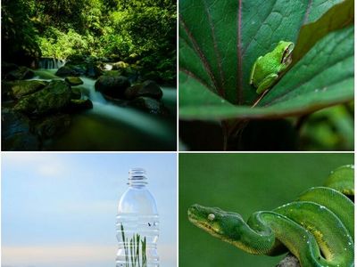 Potret Hijau yang Menyejukkan Mata