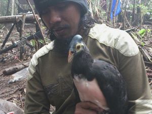 Kisah Santoso: Dari Pedagang Serabutan, Komandan MIT Lalu Jadi Buron Kisah Santoso: Dari Pedagang Serabutan, Komandan MIT Lalu Jadi Buron