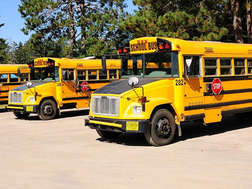 Kenapa Bus Sekolah Warna Kuning, Bukan Merah, Hijau, atau Biru?