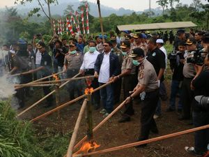 Kapolri Musnahkan Ganja yang Berasal dari Ratusan Hektar Lahan di Aceh