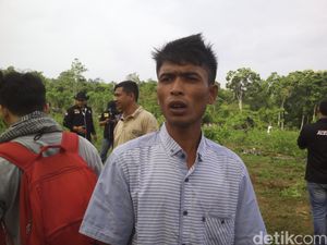 Curhat Petani Ganja di Aceh, Ditipu Mafia Hingga Dikejar TNI