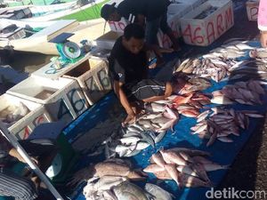 Ikan Patin Vietnam Tinggi Kandungan Tripolyphosphate, Zat Apa Itu?