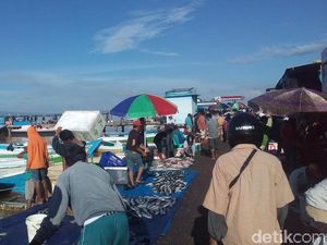 Ikan Patin Asal Vietnam yang Berbahaya Dijual Juga di Toko Online