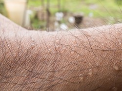 Ilmuwan Jepang Sukses Ciptakan Kulit Tiruan yang Bisa Berkeringat