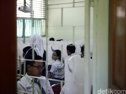 Polling Medsos detikcom: Biologi Favorit untuk UN IPA