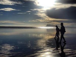 Road Map Pembangunan Wilayah Pariwisata Konservasi Banyuwangi Dimatangkan