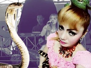 Polisi: Tak Ada Unsur Kesengajaan Saat Irma Bule Tewas Digigit Kobra Polisi: Tak Ada Unsur Kesengajaan Saat Irma Bule Tewas Digigit Kobra