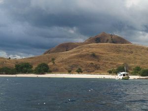 Pari Manta Siap Sambut Turis di Alam Laut Pulau Komodo