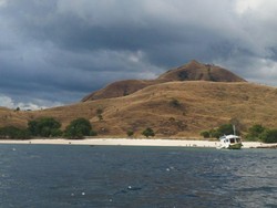 Pari Manta Siap Sambut Turis di Alam Laut Pulau Komodo