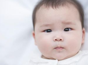 Dibotaki Bikin Rambut Bayi Tumbuh Lebat? Dibotaki Bikin Rambut Bayi Tumbuh Lebat?