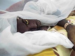 Dokumen Vaksinasi Palsu Jadi Biang Keladi Wabah Demam Kuning di Angola