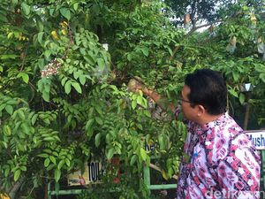 Kang Yoto Sulap Daerah Langganan Banjir Jadi Mekarsari Ala Bojonegoro Kang Yoto Sulap Daerah Langganan Banjir Jadi Mekarsari Ala Bojonegoro