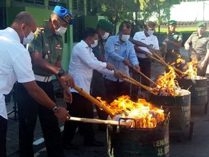 TNI Musnahkan Ganja dan Miras