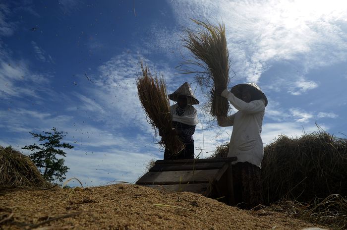 Foto: ANTARA FOTO/Sahrul Manda Tikupadang Foto: ANTARA FOTO/Sahrul Manda Tikupadang