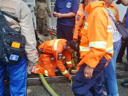 Kisah Petugas Pemadam Kebakaran Dipanggil Warga untuk Selamatkan Anak Kucing