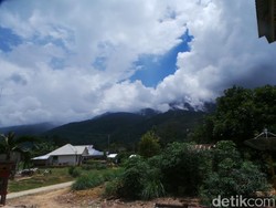 Tentang Taman Jeka yang Pernah Terlupa lalu Jadi Basis Kelompok Santoso