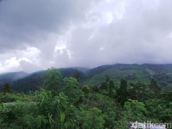 Polisi Ungkap Rintangan Perburuan Ali Kalora cs di Pegunungan Sulteng