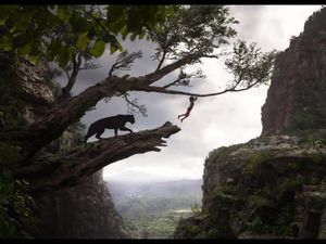 The Jungle Book Rajai Box Office