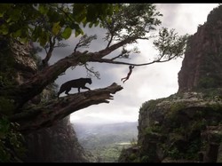 The Jungle Book Rajai Box Office