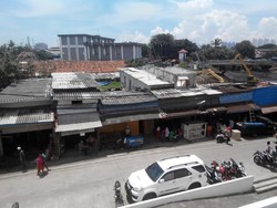 Ikan Patin Asal Vietnam Berbahaya, Ini Buktinya