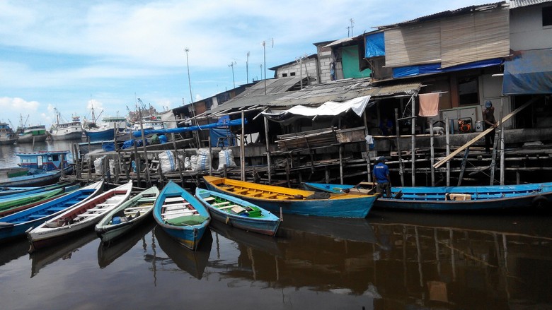 Perhatikan, Ini Beda Patin Lokal dan Patin Vietnam yang Berbahaya