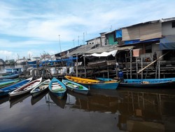 Berbahaya, Patin Vietnam Dilarang Masuk ke AS dan Eropa