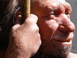 Kromosom Y Manusia Neanderthal Menghilang dari DNA Pria Modern