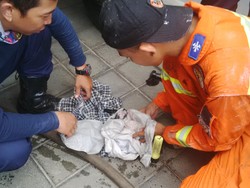 Dramatis, Penyelamatan Anak Kucing yang Terjebak Satu Hari Dalam Pipa Air