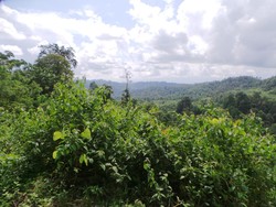 Hujan dan Medan yang Sulit, Jenazah Diduga Santoso Belum Bisa Dievakuasi