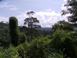 Polisi: Kelompok Santoso Tinggal 27 Orang