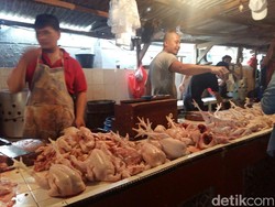 Harga Ayam di Pasar Seharusnya Paling Mahal Rp 30.000/Ekor