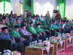 PPP Romi: Ahok-Djarot Tak Usah Tanggapi Dukungan Djan