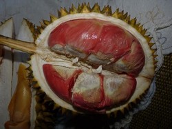 Jadi Buruan Wisatawan, Banyuwangi Hasilkan 1.700 Durian Merah Tiap Tahun