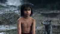 Petualangan Mowgli dengan Hewan Buas di The Jungle Book