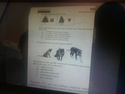 Petunjuk Dugaan Kebocoran Soal UN di DIY, dari Taplak Meja sampai Seragam