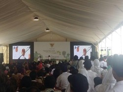 Cerita Darmin: Pemerintah Keroyokan Atasi Kemiskinan Petani dan Nelayan