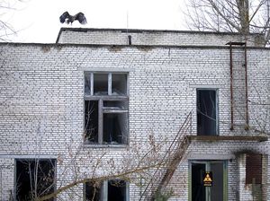 Nostalgia Penduduk Pripyat dalam Peringatan 30 Tahun Bencana Chernobyl