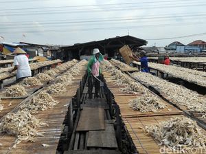 Susi Bangun Politeknik dan Akademi Perikanan untuk Anak Nelayan