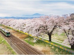 Jepang yang Tidak Hanya Cantik Saat Musim Sakura