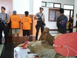 Polda Jambi Tangkap 2 Pembunuh Gajah Sumatera