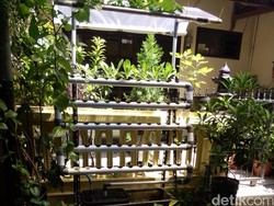 Melongok Kampung Glintung, Dulu Kumuh dan Banjir Kini Hijau