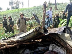 165 Gubuk Liar Milik Perambah Hutan di Kawasan Gede Pangrango Dihancurkan